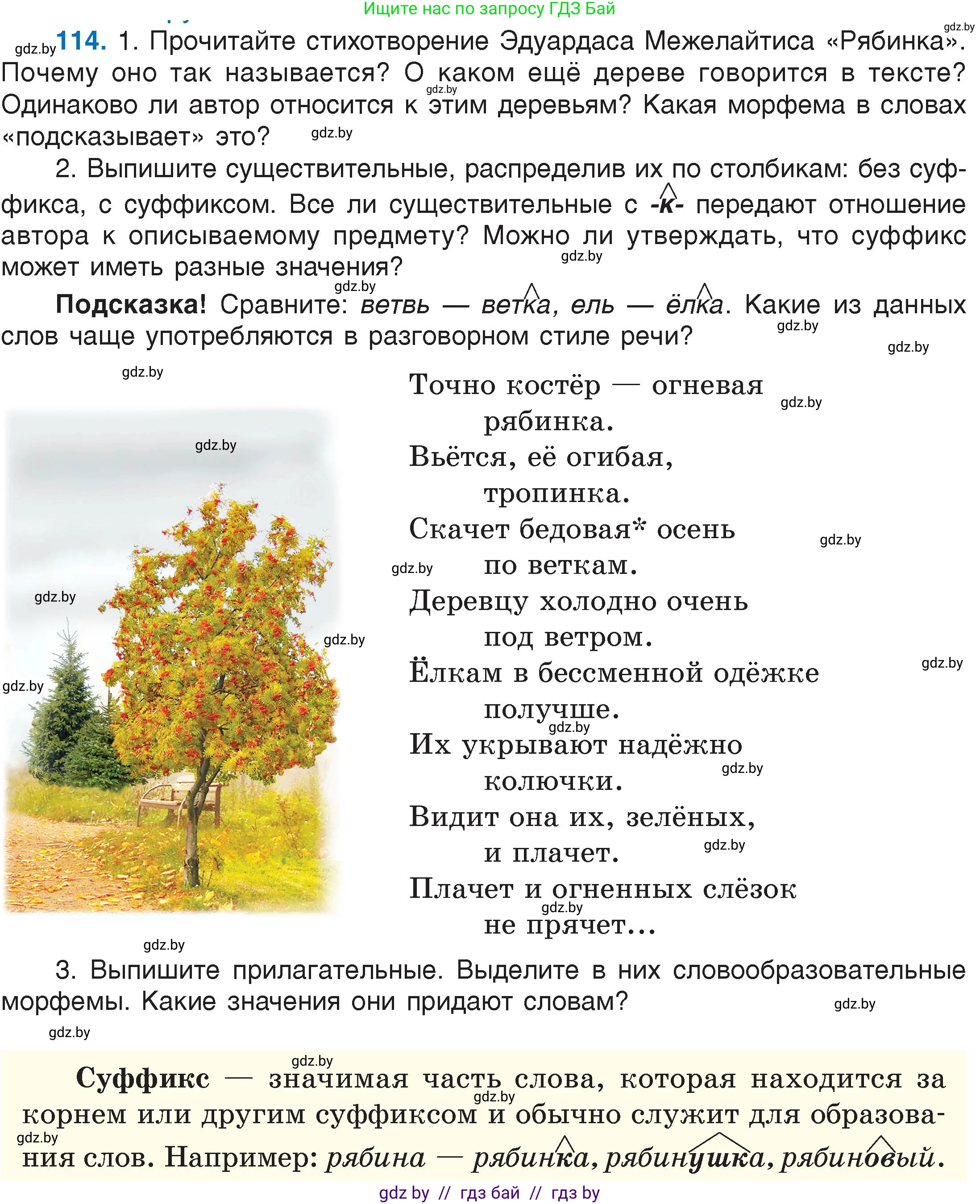 Русский язык, 6 класс Учебник, авторы: Мурина Лариса Александровна, Игнатович Татьяна Владимировна, Жадейко Жанна Фёдоровна, издательство Национальный институт образования, Минск, 2020, страница 58, номер 114, Условие