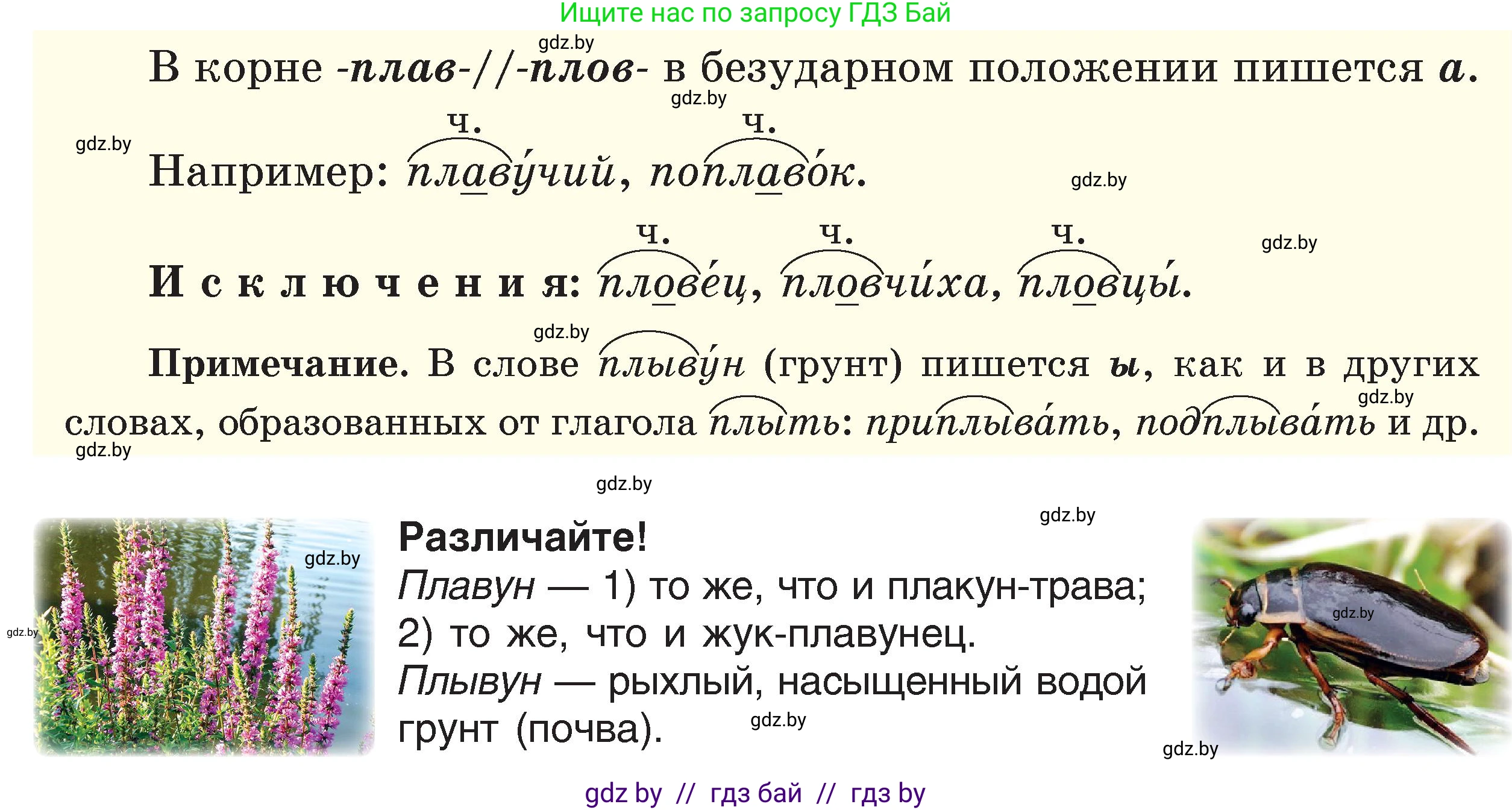 Русский язык, 6 класс Учебник, авторы: Мурина Лариса Александровна, Игнатович Татьяна Владимировна, Жадейко Жанна Фёдоровна, издательство Национальный институт образования, Минск, 2020, страница 71, номер 152, Условие (продолжение 2)