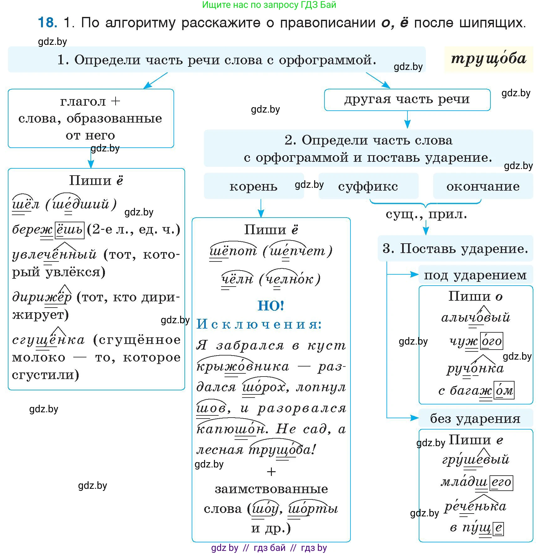 Русский язык, 6 класс Учебник, авторы: Мурина Лариса Александровна, Игнатович Татьяна Владимировна, Жадейко Жанна Фёдоровна, издательство Национальный институт образования, Минск, 2020, страница 13, номер 18, Условие