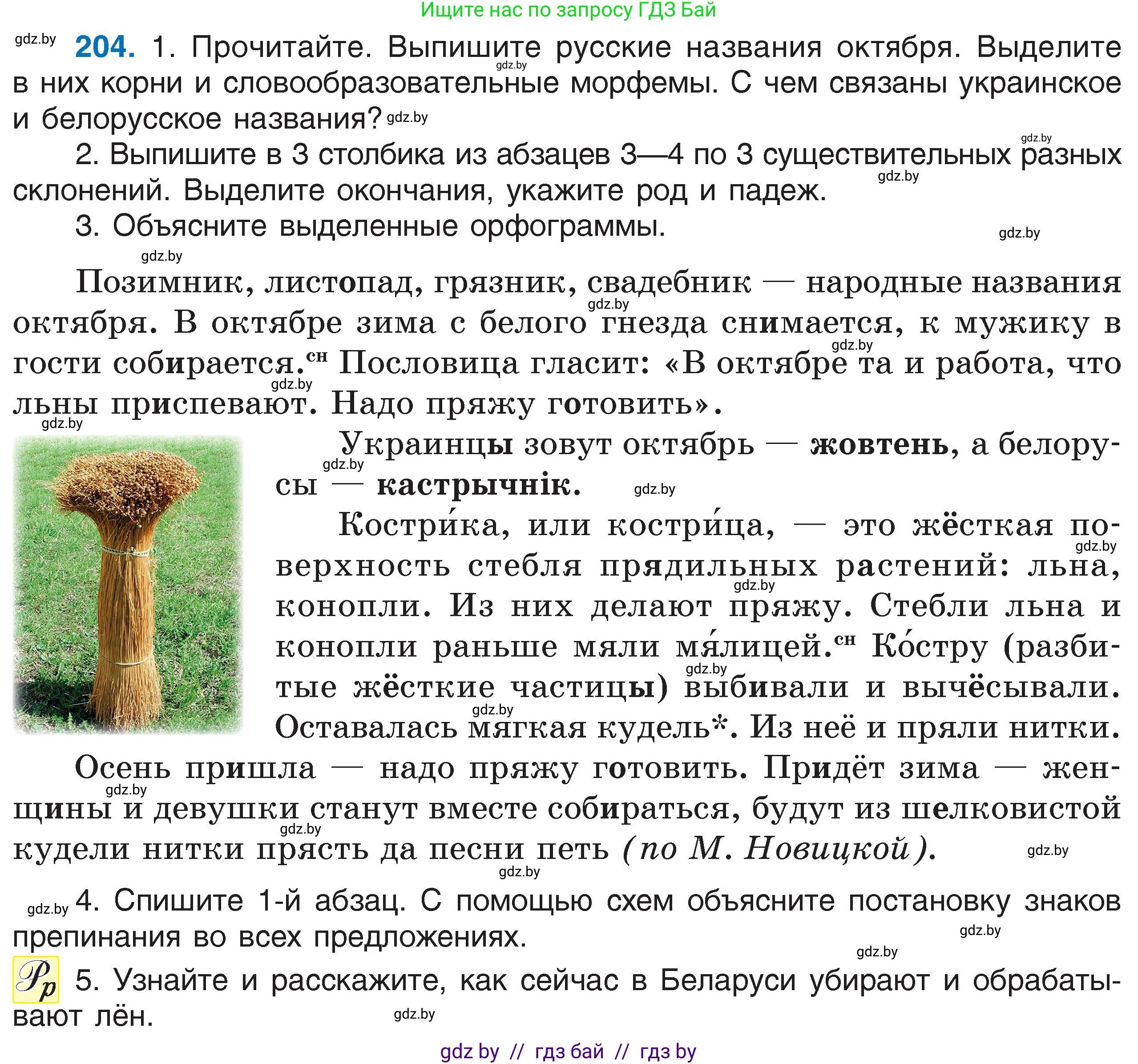 Русский язык, 6 класс Учебник, авторы: Мурина Лариса Александровна, Игнатович Татьяна Владимировна, Жадейко Жанна Фёдоровна, издательство Национальный институт образования, Минск, 2020, страница 98, номер 204, Условие