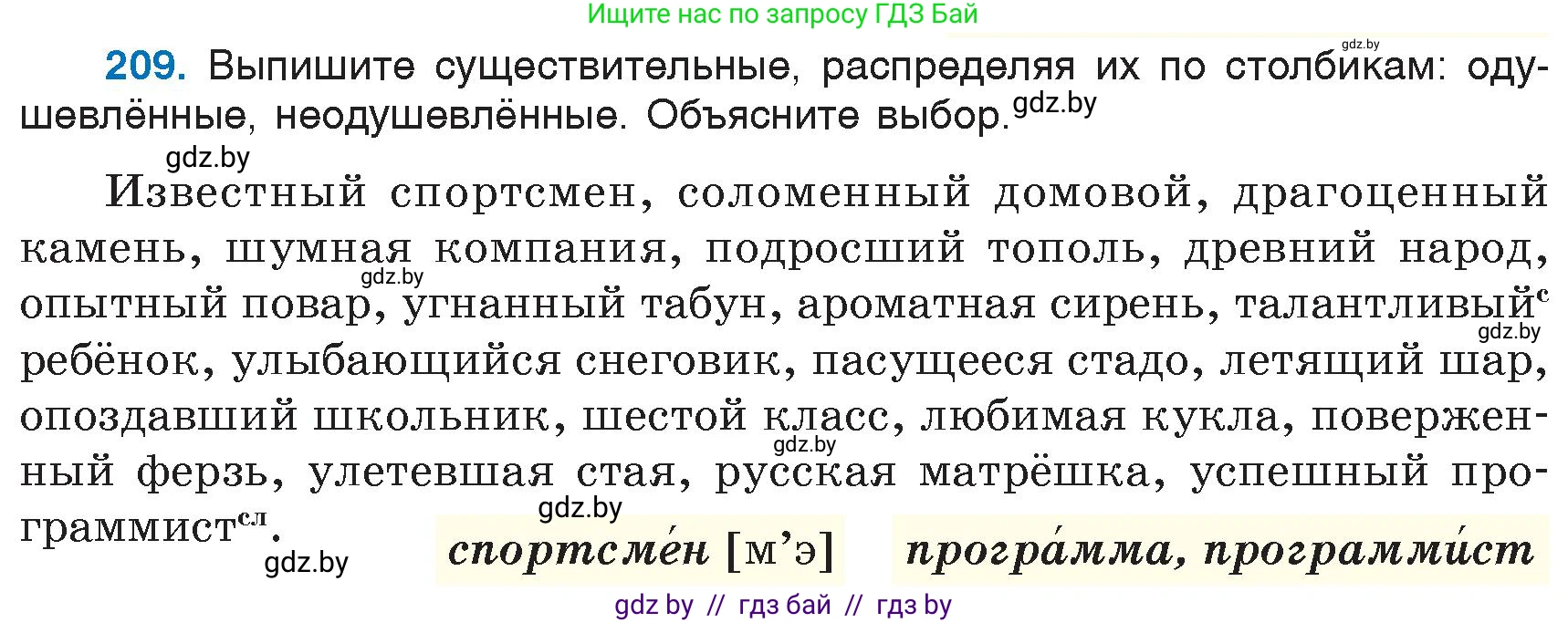 Русский язык, 6 класс Учебник, авторы: Мурина Лариса Александровна, Игнатович Татьяна Владимировна, Жадейко Жанна Фёдоровна, издательство Национальный институт образования, Минск, 2020, страница 100, номер 209, Условие