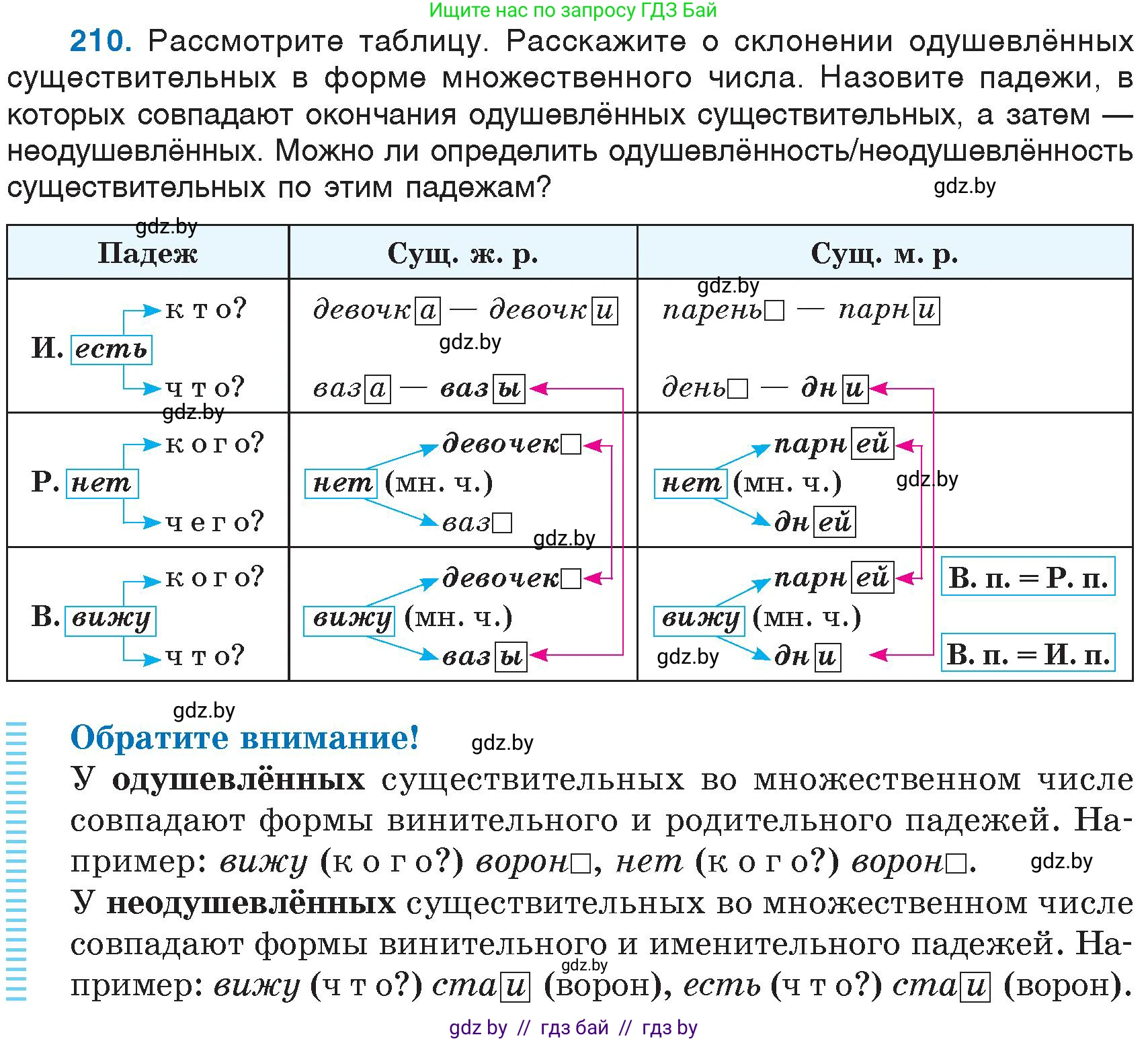 Русский язык, 6 класс Учебник, авторы: Мурина Лариса Александровна, Игнатович Татьяна Владимировна, Жадейко Жанна Фёдоровна, издательство Национальный институт образования, Минск, 2020, страница 101, номер 210, Условие