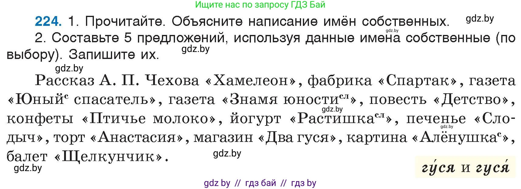 Русский язык, 6 класс Учебник, авторы: Мурина Лариса Александровна, Игнатович Татьяна Владимировна, Жадейко Жанна Фёдоровна, издательство Национальный институт образования, Минск, 2020, страница 108, номер 224, Условие