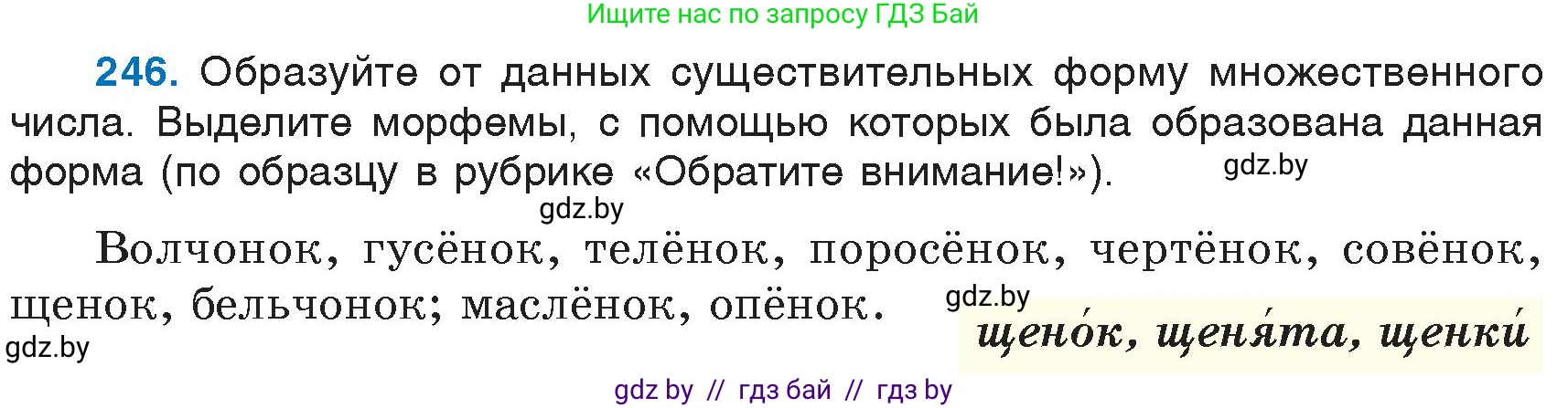 Русский язык, 6 класс Учебник, авторы: Мурина Лариса Александровна, Игнатович Татьяна Владимировна, Жадейко Жанна Фёдоровна, издательство Национальный институт образования, Минск, 2020, страница 117, номер 246, Условие
