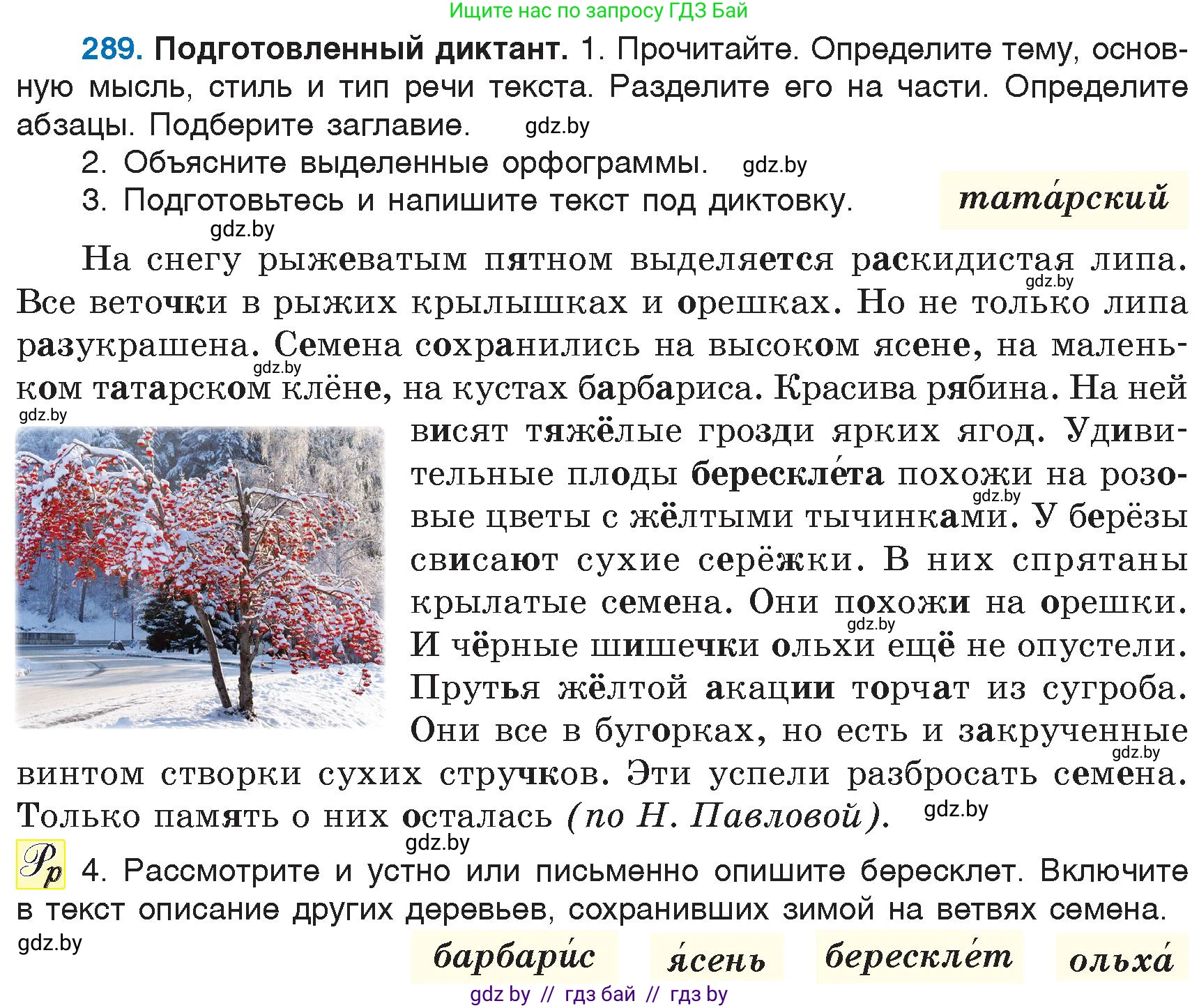 Русский язык, 6 класс Учебник, авторы: Мурина Лариса Александровна, Игнатович Татьяна Владимировна, Жадейко Жанна Фёдоровна, издательство Национальный институт образования, Минск, 2020, страница 138, номер 289, Условие