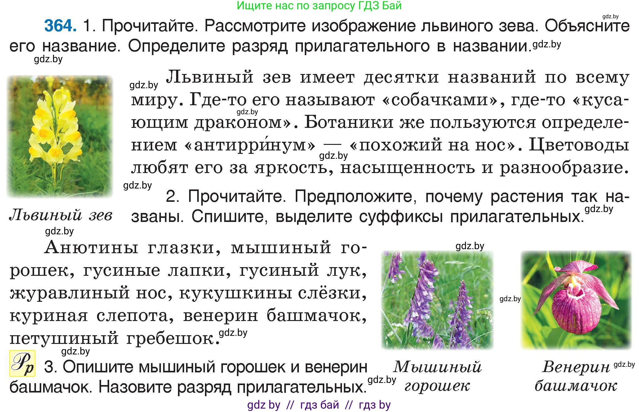 Русский язык, 6 класс Учебник, авторы: Мурина Лариса Александровна, Игнатович Татьяна Владимировна, Жадейко Жанна Фёдоровна, издательство Национальный институт образования, Минск, 2020, страница 166, номер 364, Условие