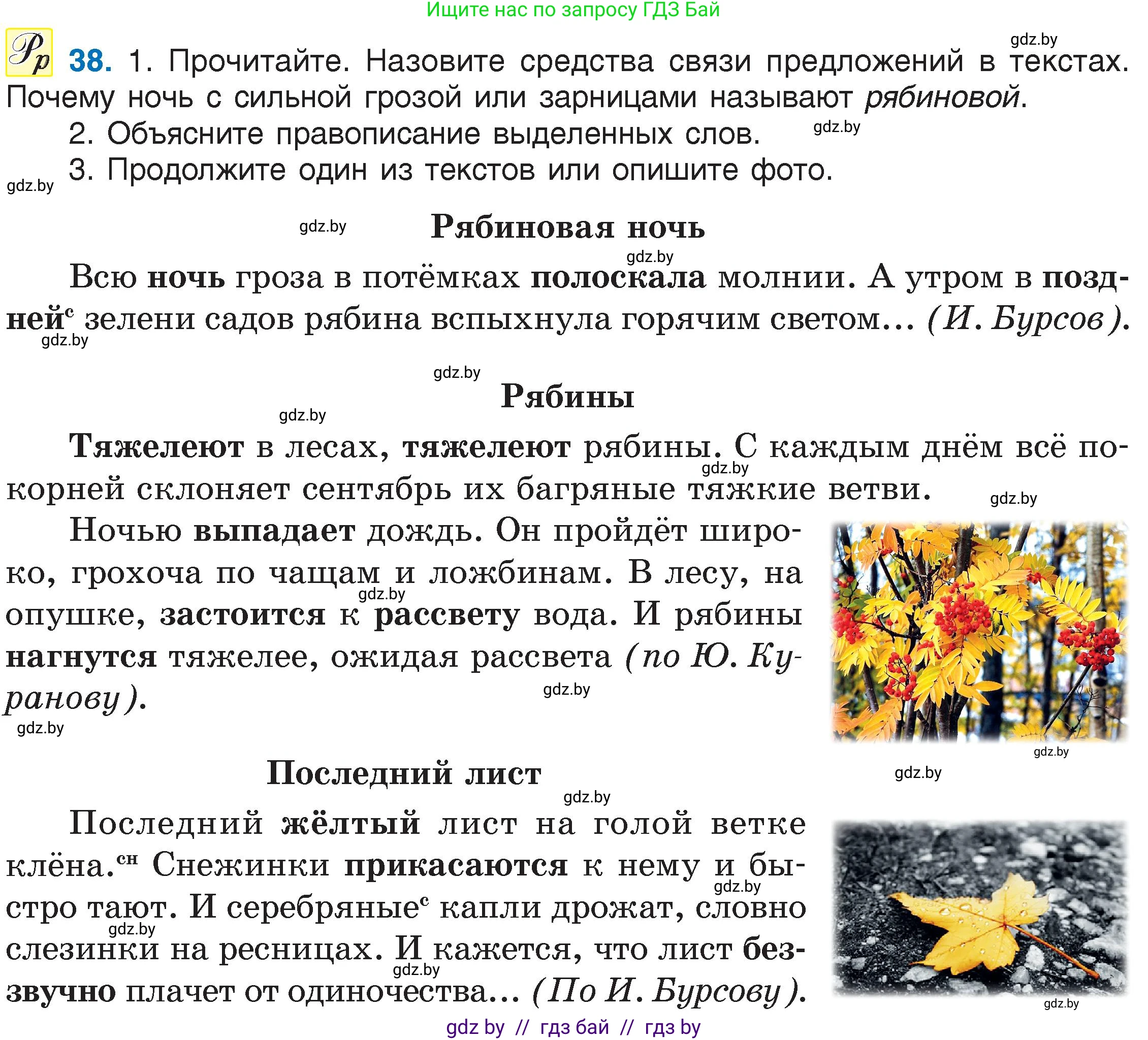 Русский язык, 6 класс Учебник, авторы: Мурина Лариса Александровна, Игнатович Татьяна Владимировна, Жадейко Жанна Фёдоровна, издательство Национальный институт образования, Минск, 2020, страница 25, номер 38, Условие