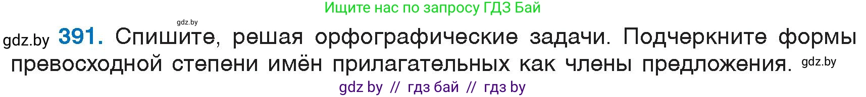 Русский язык, 6 класс Учебник, авторы: Мурина Лариса Александровна, Игнатович Татьяна Владимировна, Жадейко Жанна Фёдоровна, издательство Национальный институт образования, Минск, 2020, страница 176, номер 391, Условие