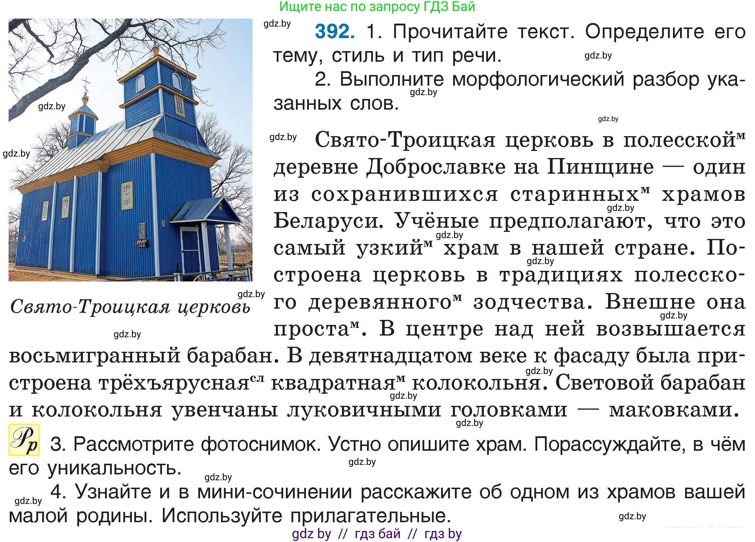 Русский язык, 6 класс Учебник, авторы: Мурина Лариса Александровна, Игнатович Татьяна Владимировна, Жадейко Жанна Фёдоровна, издательство Национальный институт образования, Минск, 2020, страница 178, номер 392, Условие