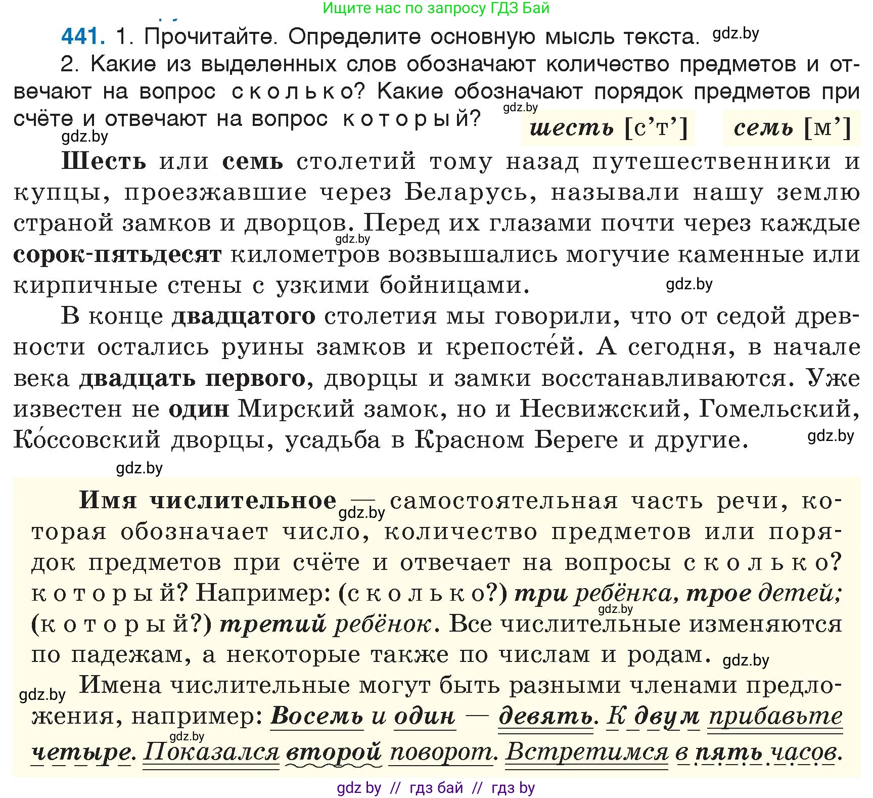 Русский язык, 6 класс Учебник, авторы: Мурина Лариса Александровна, Игнатович Татьяна Владимировна, Жадейко Жанна Фёдоровна, издательство Национальный институт образования, Минск, 2020, страница 197, номер 441, Условие