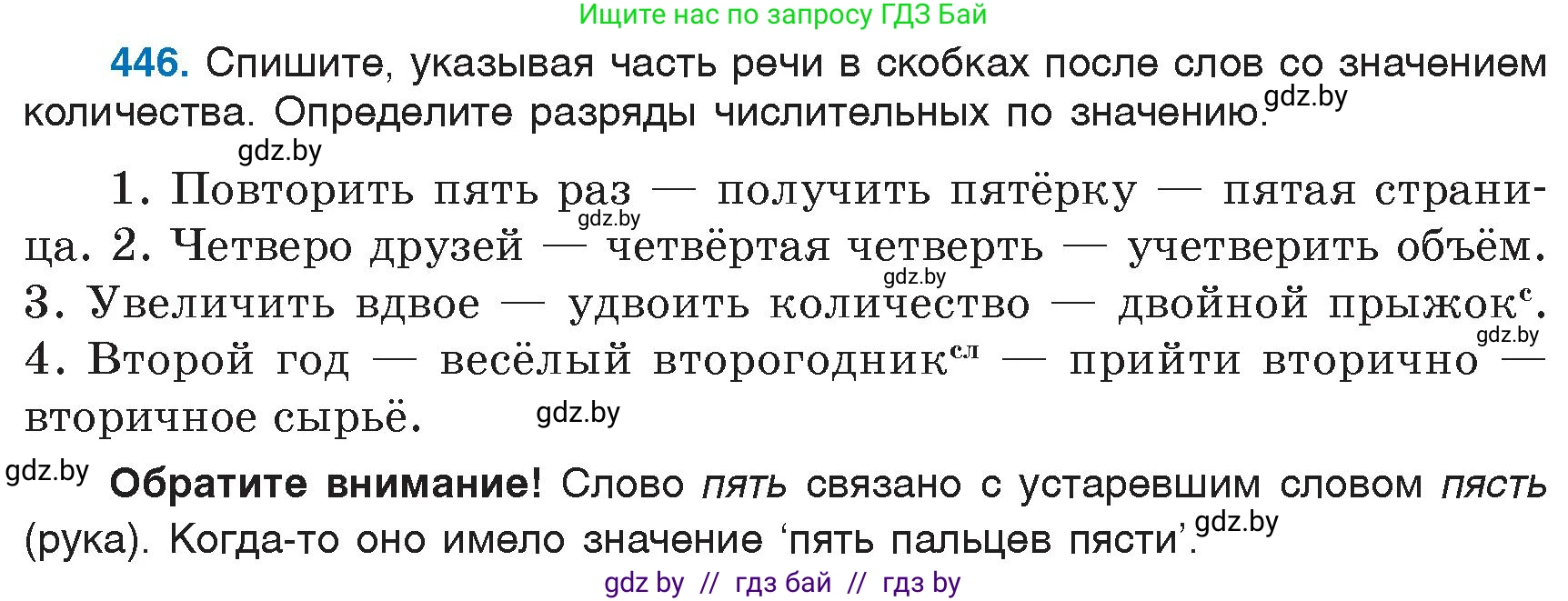 Русский язык, 6 класс Учебник, авторы: Мурина Лариса Александровна, Игнатович Татьяна Владимировна, Жадейко Жанна Фёдоровна, издательство Национальный институт образования, Минск, 2020, страница 199, номер 446, Условие