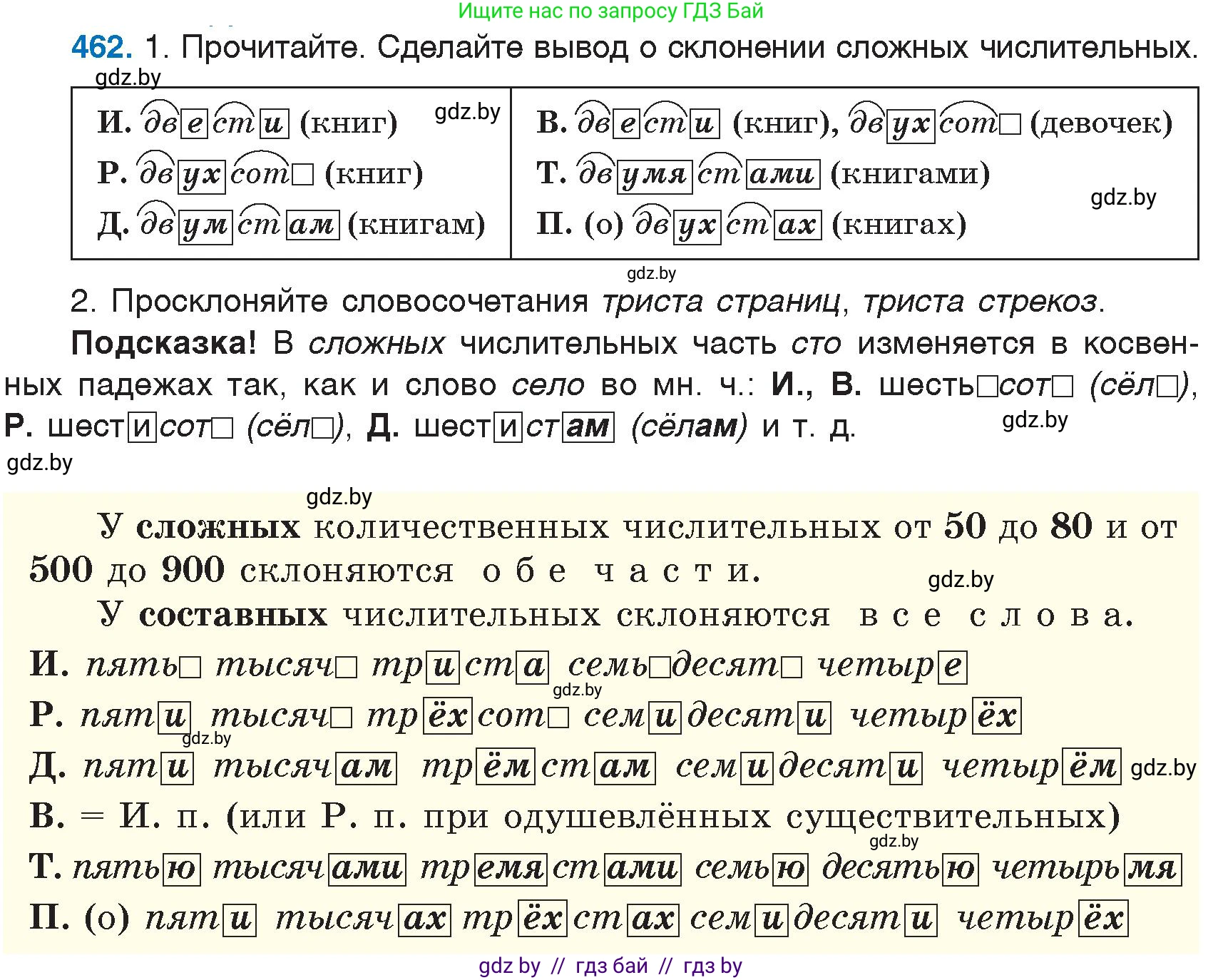 Русский язык, 6 класс Учебник, авторы: Мурина Лариса Александровна, Игнатович Татьяна Владимировна, Жадейко Жанна Фёдоровна, издательство Национальный институт образования, Минск, 2020, страница 204, номер 462, Условие