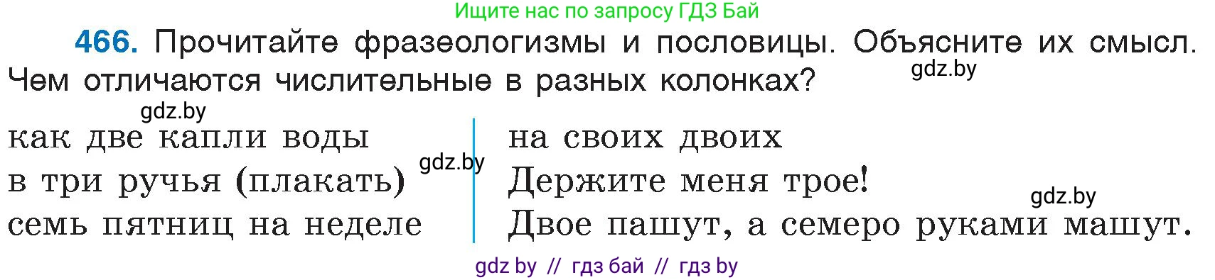Русский язык, 6 класс Учебник, авторы: Мурина Лариса Александровна, Игнатович Татьяна Владимировна, Жадейко Жанна Фёдоровна, издательство Национальный институт образования, Минск, 2020, страница 205, номер 466, Условие