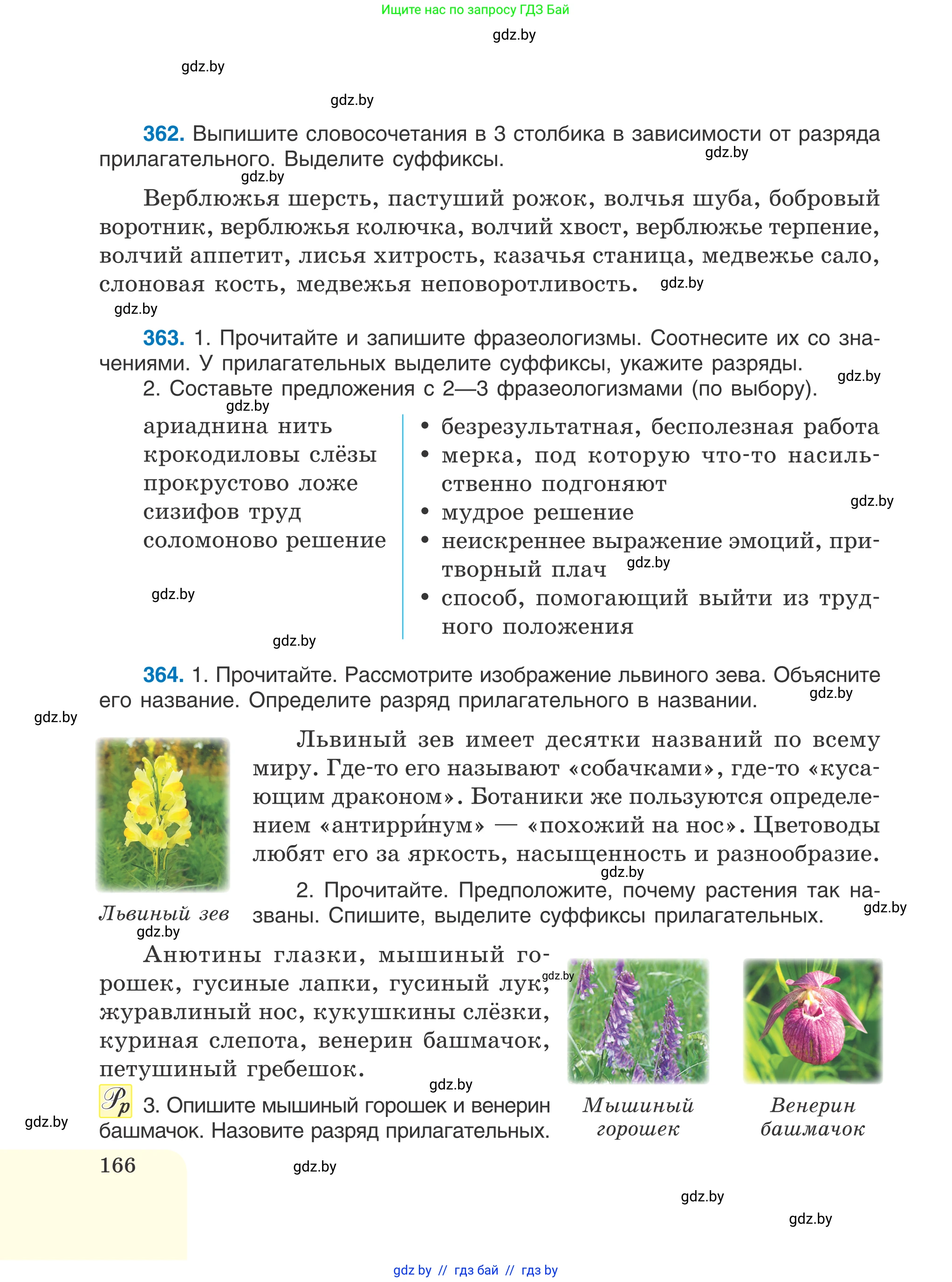 Русский язык, 6 класс Учебник, авторы: Мурина Лариса Александровна, Игнатович Татьяна Владимировна, Жадейко Жанна Фёдоровна, издательство Национальный институт образования, Минск, 2020, страница 166