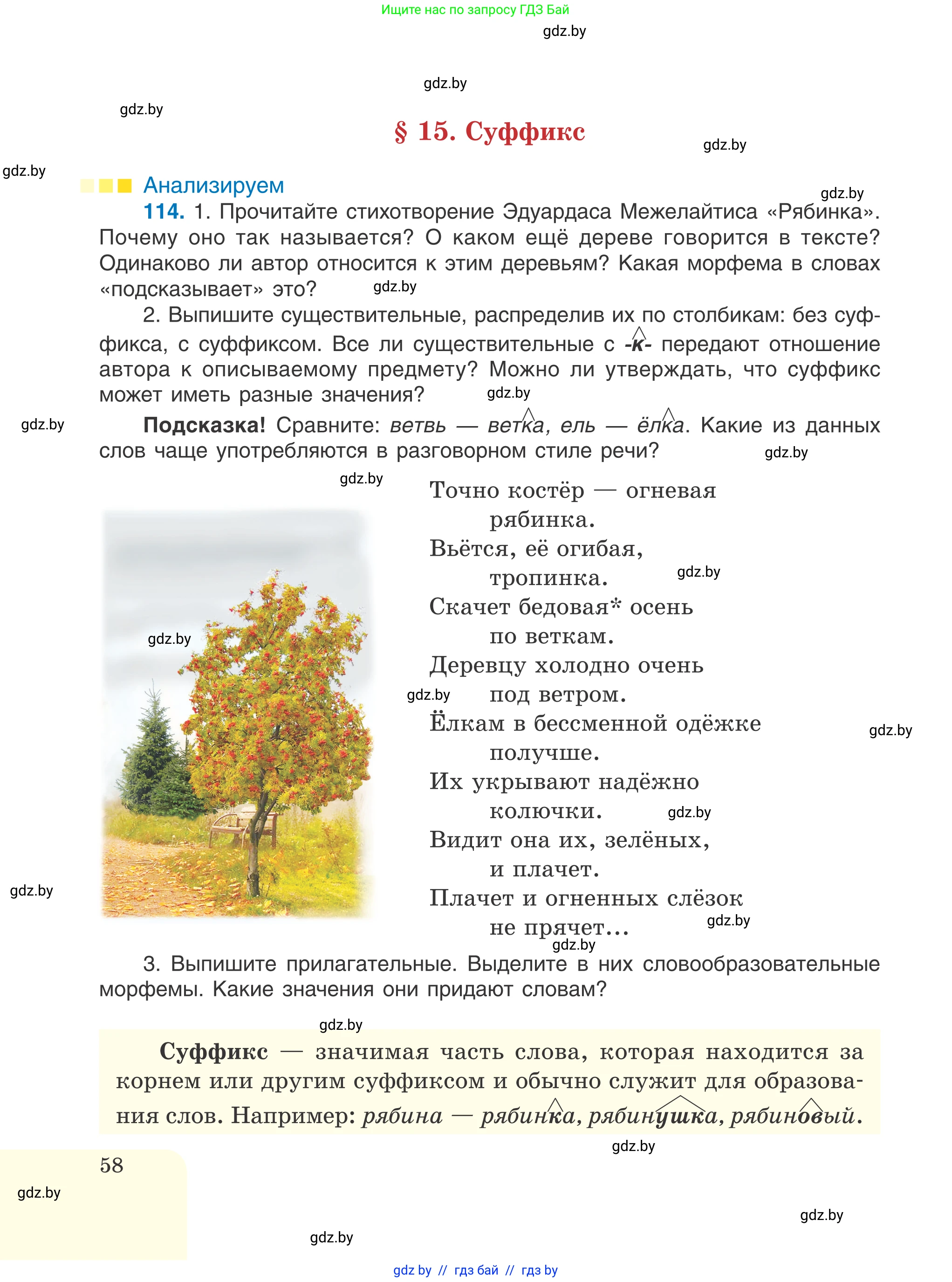 Русский язык, 6 класс Учебник, авторы: Мурина Лариса Александровна, Игнатович Татьяна Владимировна, Жадейко Жанна Фёдоровна, издательство Национальный институт образования, Минск, 2020, страница 58