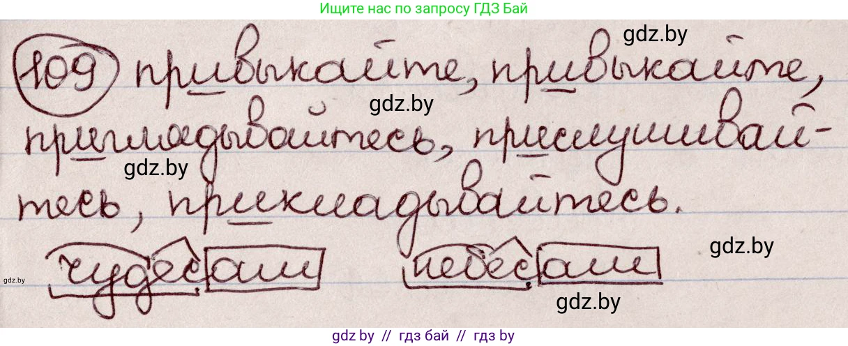 Русский язык, 6 класс Учебник, авторы: Мурина Лариса Александровна, Игнатович Татьяна Владимировна, Жадейко Жанна Фёдоровна, издательство Национальный институт образования, Минск, 2020, страница 55, номер 109, Решение 2