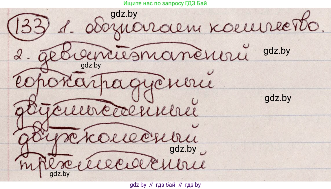 Русский язык, 6 класс Учебник, авторы: Мурина Лариса Александровна, Игнатович Татьяна Владимировна, Жадейко Жанна Фёдоровна, издательство Национальный институт образования, Минск, 2020, страница 65, номер 133, Решение 2
