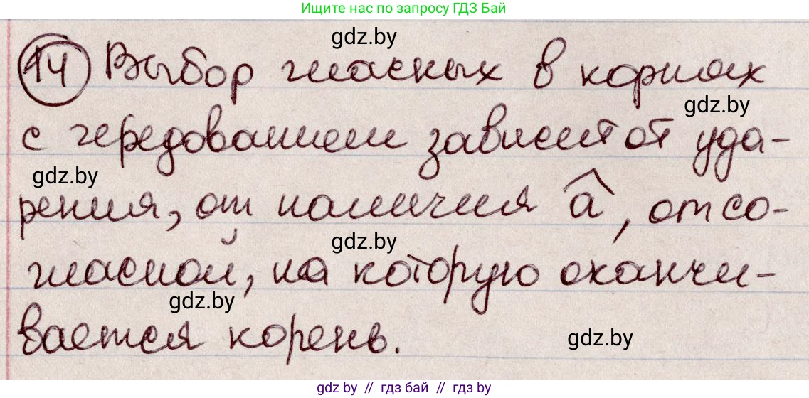 Русский язык, 6 класс Учебник, авторы: Мурина Лариса Александровна, Игнатович Татьяна Владимировна, Жадейко Жанна Фёдоровна, издательство Национальный институт образования, Минск, 2020, страница 11, номер 14, Решение 2