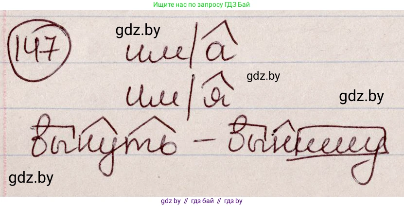 Русский язык, 6 класс Учебник, авторы: Мурина Лариса Александровна, Игнатович Татьяна Владимировна, Жадейко Жанна Фёдоровна, издательство Национальный институт образования, Минск, 2020, страница 70, номер 147, Решение 2