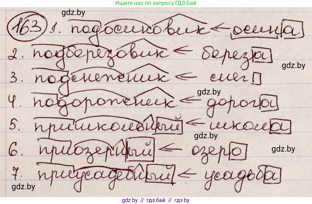Русский язык, 6 класс Учебник, авторы: Мурина Лариса Александровна, Игнатович Татьяна Владимировна, Жадейко Жанна Фёдоровна, издательство Национальный институт образования, Минск, 2020, страница 77, номер 163, Решение 2