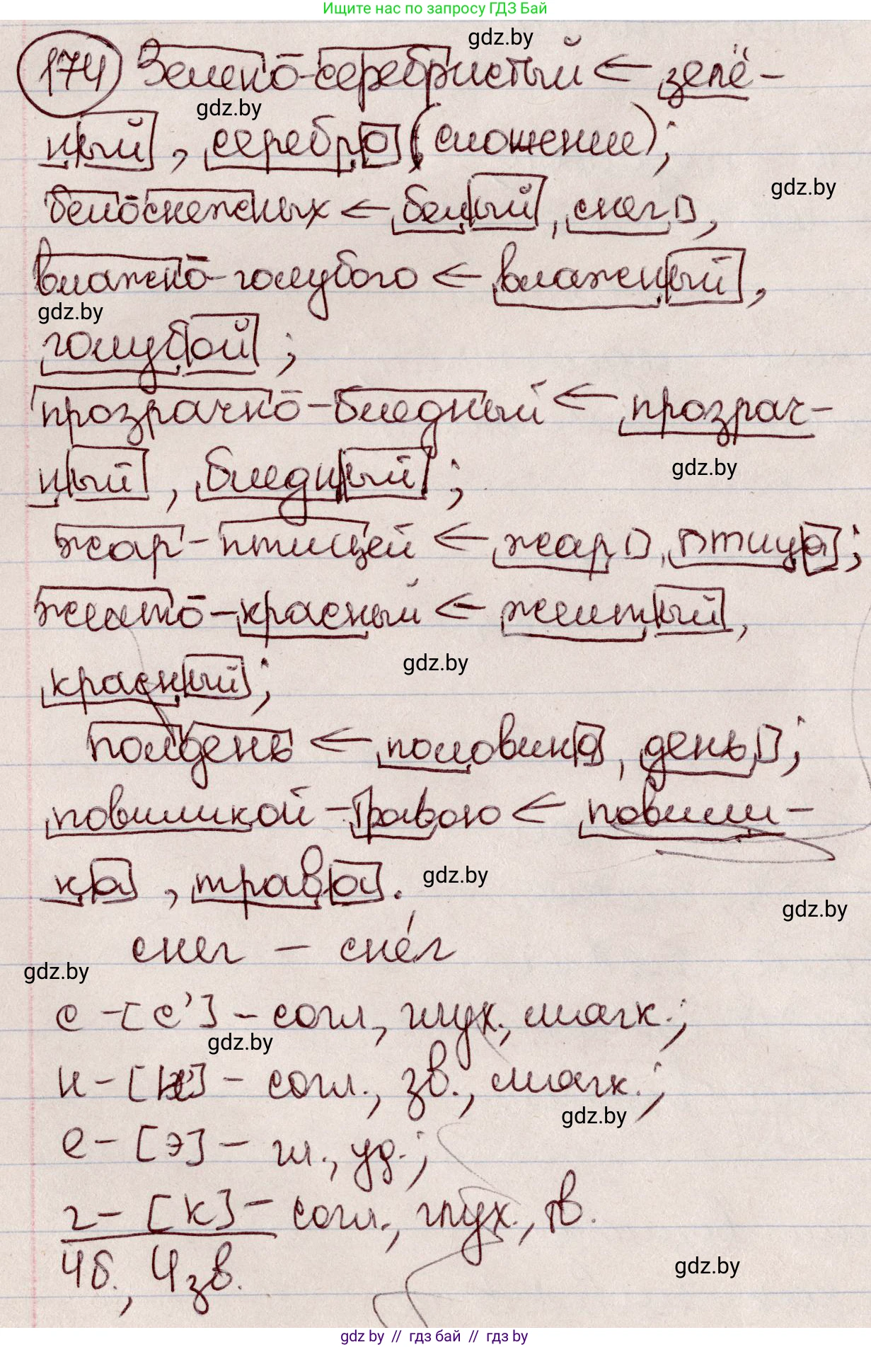 Русский язык, 6 класс Учебник, авторы: Мурина Лариса Александровна, Игнатович Татьяна Владимировна, Жадейко Жанна Фёдоровна, издательство Национальный институт образования, Минск, 2020, страница 81, номер 174, Решение 2