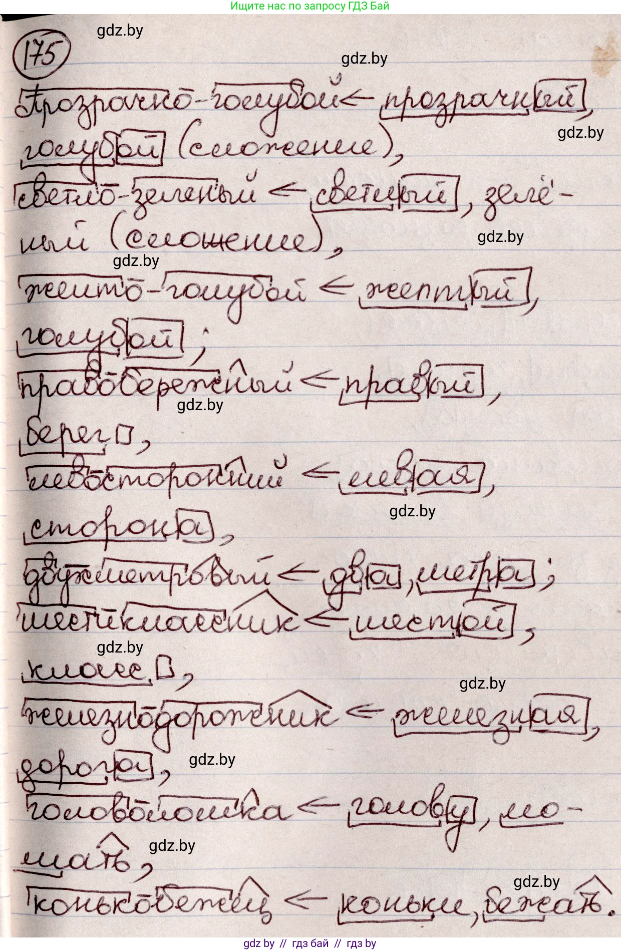 Русский язык, 6 класс Учебник, авторы: Мурина Лариса Александровна, Игнатович Татьяна Владимировна, Жадейко Жанна Фёдоровна, издательство Национальный институт образования, Минск, 2020, страница 81, номер 175, Решение 2
