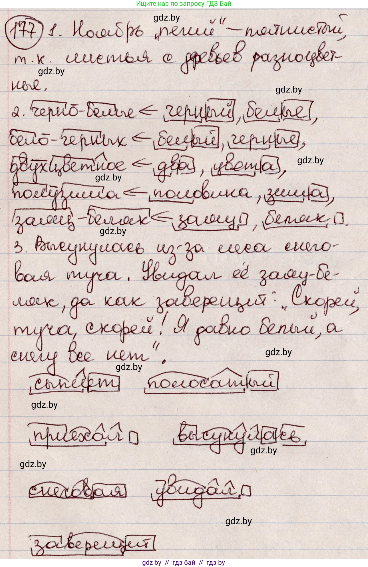 Русский язык, 6 класс Учебник, авторы: Мурина Лариса Александровна, Игнатович Татьяна Владимировна, Жадейко Жанна Фёдоровна, издательство Национальный институт образования, Минск, 2020, страница 82, номер 177, Решение 2