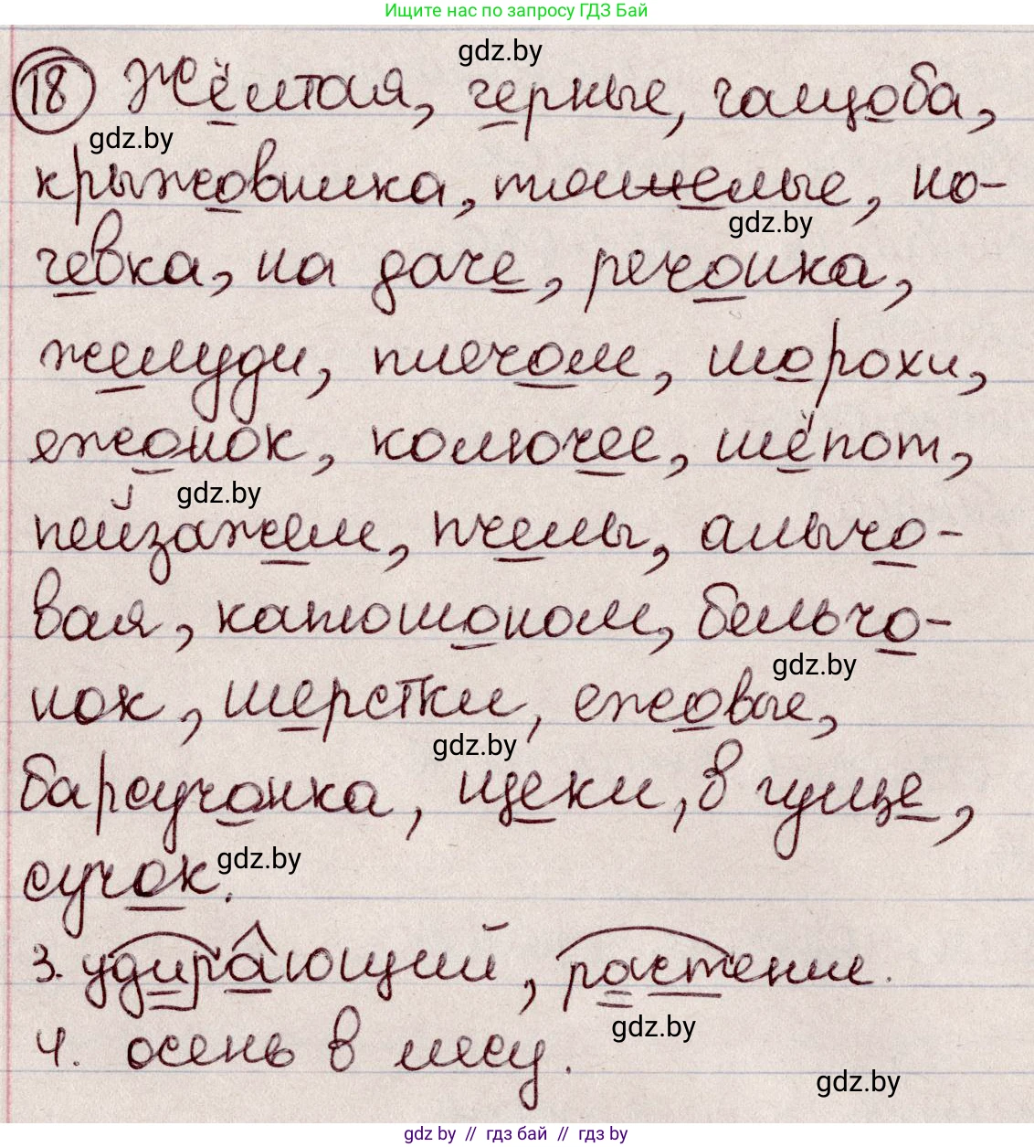 Русский язык, 6 класс Учебник, авторы: Мурина Лариса Александровна, Игнатович Татьяна Владимировна, Жадейко Жанна Фёдоровна, издательство Национальный институт образования, Минск, 2020, страница 13, номер 18, Решение 2