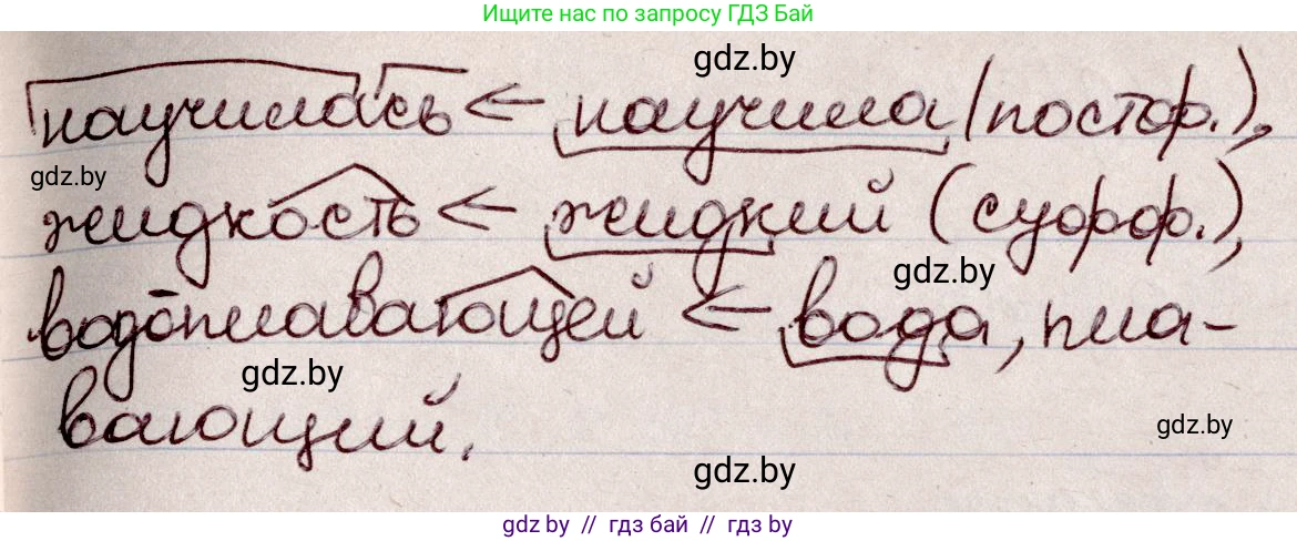 Русский язык, 6 класс Учебник, авторы: Мурина Лариса Александровна, Игнатович Татьяна Владимировна, Жадейко Жанна Фёдоровна, издательство Национальный институт образования, Минск, 2020, страница 84, номер 182, Решение 2 (продолжение 2)