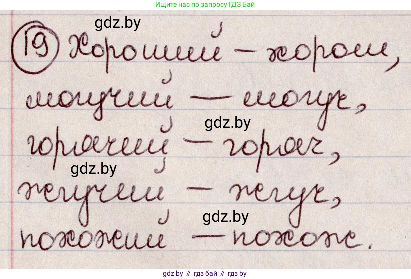 Русский язык, 6 класс Учебник, авторы: Мурина Лариса Александровна, Игнатович Татьяна Владимировна, Жадейко Жанна Фёдоровна, издательство Национальный институт образования, Минск, 2020, страница 14, номер 19, Решение 2