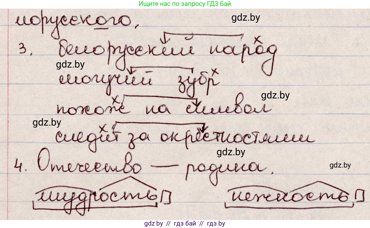 Русский язык, 6 класс Учебник, авторы: Мурина Лариса Александровна, Игнатович Татьяна Владимировна, Жадейко Жанна Фёдоровна, издательство Национальный институт образования, Минск, 2020, страница 3, номер 2, Решение 2 (продолжение 2)