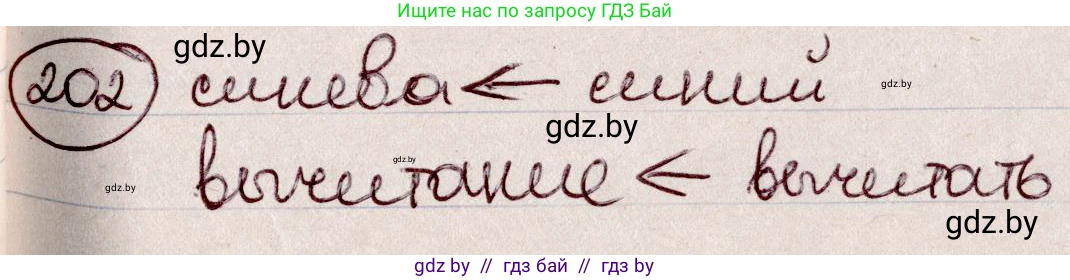 Русский язык, 6 класс Учебник, авторы: Мурина Лариса Александровна, Игнатович Татьяна Владимировна, Жадейко Жанна Фёдоровна, издательство Национальный институт образования, Минск, 2020, страница 97, номер 202, Решение 2