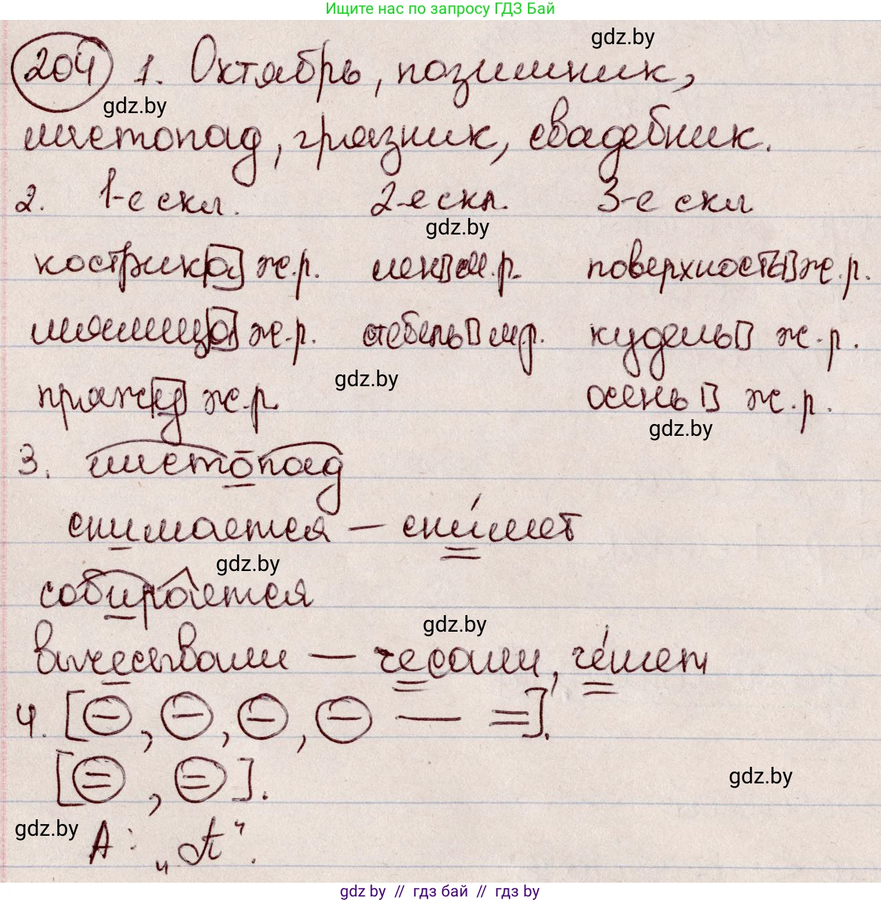 Русский язык, 6 класс Учебник, авторы: Мурина Лариса Александровна, Игнатович Татьяна Владимировна, Жадейко Жанна Фёдоровна, издательство Национальный институт образования, Минск, 2020, страница 98, номер 204, Решение 2
