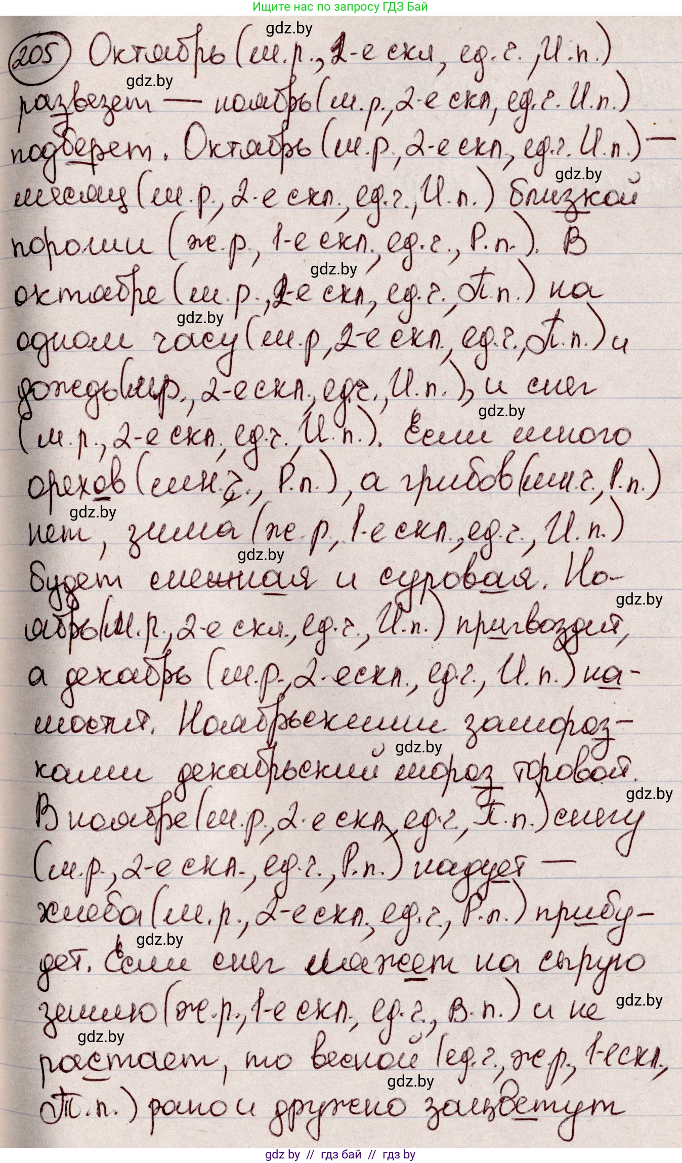 Русский язык, 6 класс Учебник, авторы: Мурина Лариса Александровна, Игнатович Татьяна Владимировна, Жадейко Жанна Фёдоровна, издательство Национальный институт образования, Минск, 2020, страница 98, номер 205, Решение 2