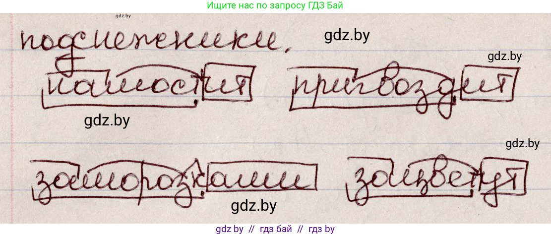 Русский язык, 6 класс Учебник, авторы: Мурина Лариса Александровна, Игнатович Татьяна Владимировна, Жадейко Жанна Фёдоровна, издательство Национальный институт образования, Минск, 2020, страница 98, номер 205, Решение 2 (продолжение 2)