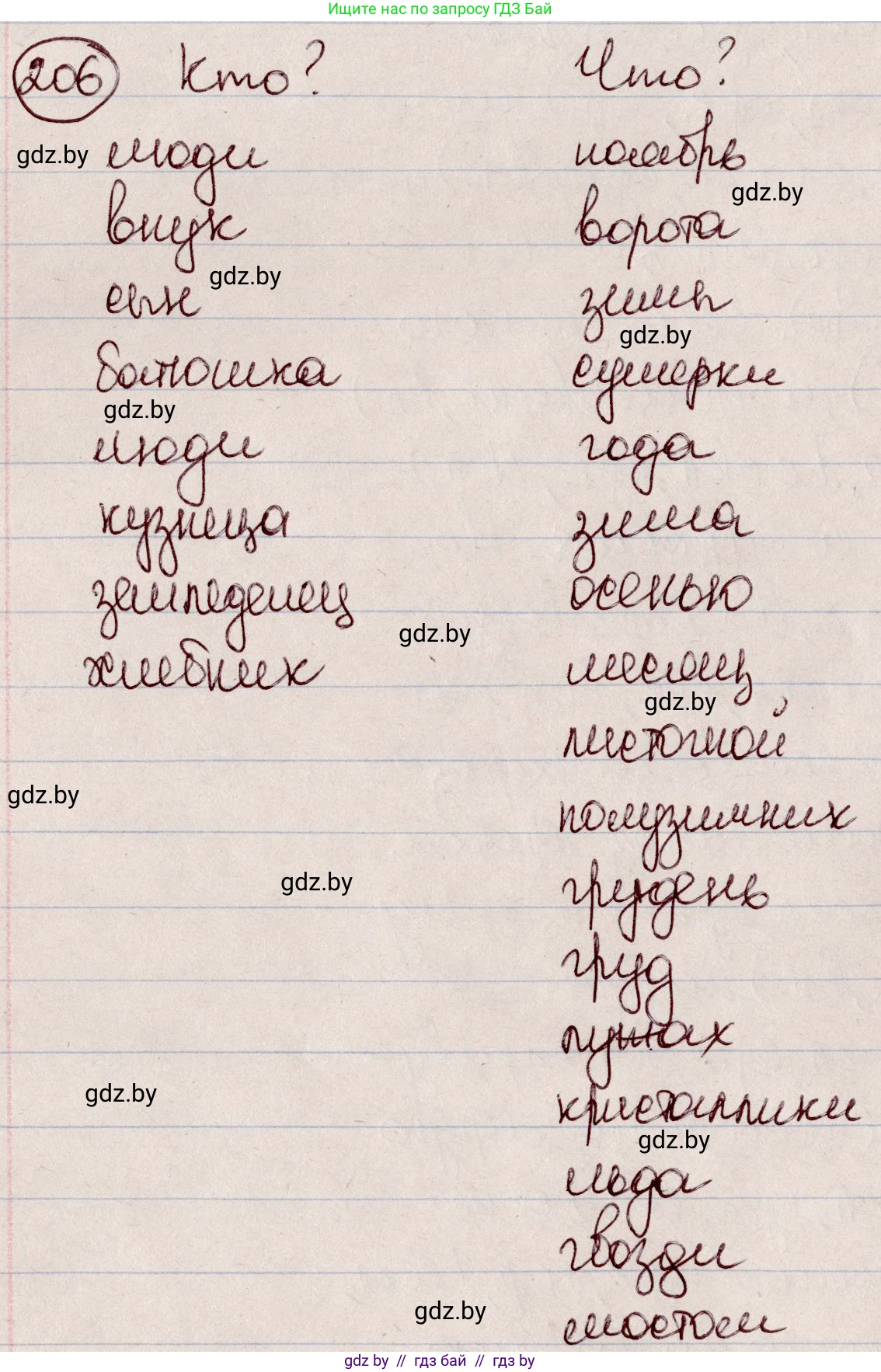 Русский язык, 6 класс Учебник, авторы: Мурина Лариса Александровна, Игнатович Татьяна Владимировна, Жадейко Жанна Фёдоровна, издательство Национальный институт образования, Минск, 2020, страница 99, номер 206, Решение 2