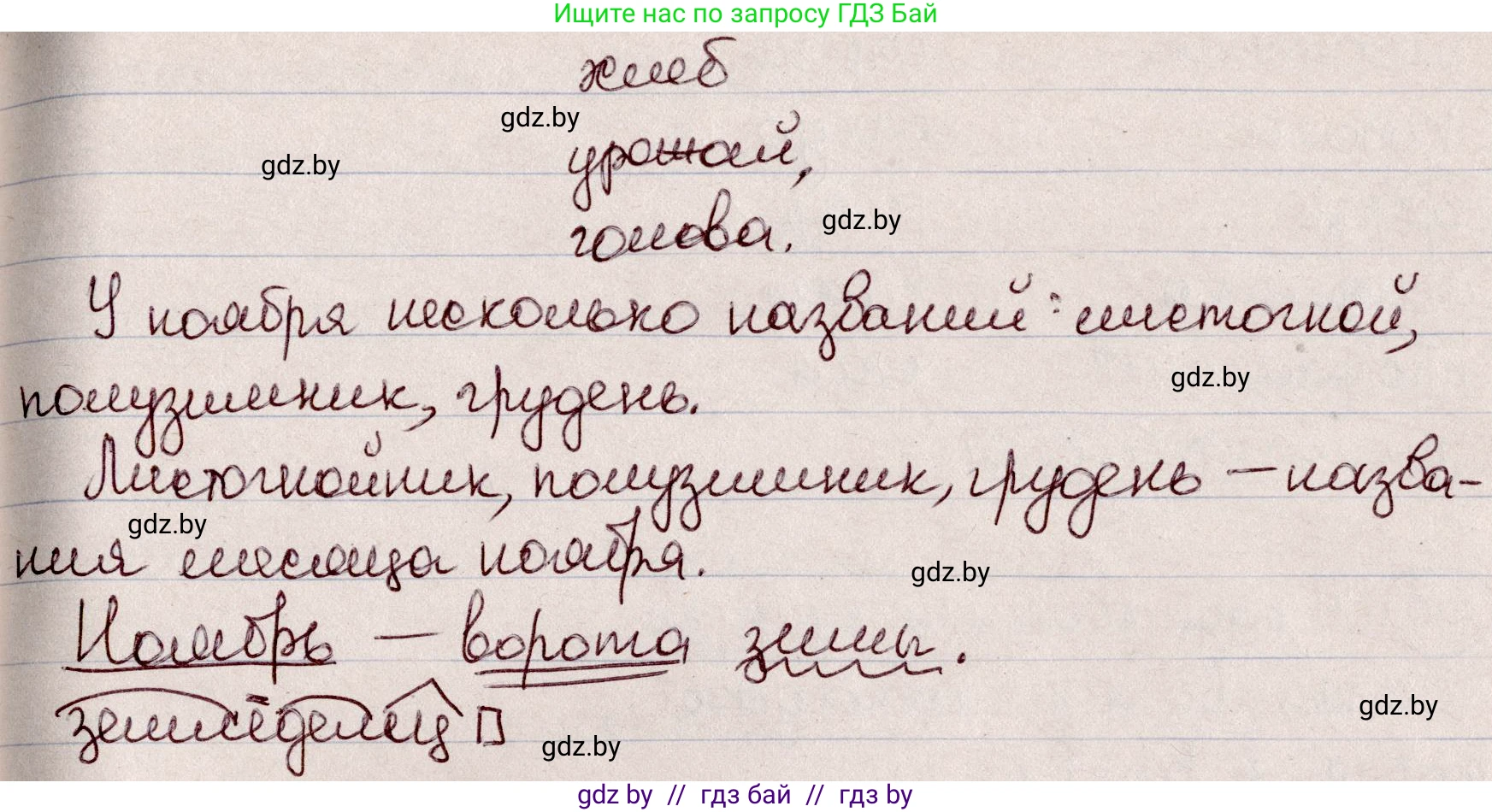 Русский язык, 6 класс Учебник, авторы: Мурина Лариса Александровна, Игнатович Татьяна Владимировна, Жадейко Жанна Фёдоровна, издательство Национальный институт образования, Минск, 2020, страница 99, номер 206, Решение 2 (продолжение 2)