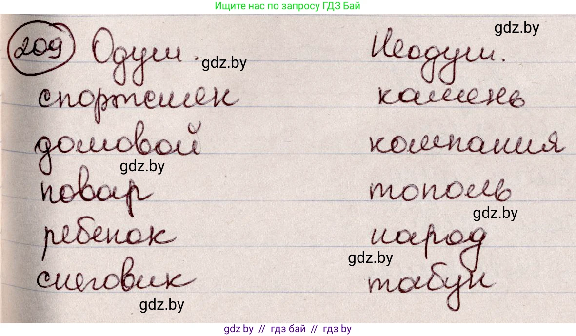 Русский язык, 6 класс Учебник, авторы: Мурина Лариса Александровна, Игнатович Татьяна Владимировна, Жадейко Жанна Фёдоровна, издательство Национальный институт образования, Минск, 2020, страница 100, номер 209, Решение 2