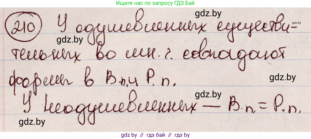 Русский язык, 6 класс Учебник, авторы: Мурина Лариса Александровна, Игнатович Татьяна Владимировна, Жадейко Жанна Фёдоровна, издательство Национальный институт образования, Минск, 2020, страница 101, номер 210, Решение 2