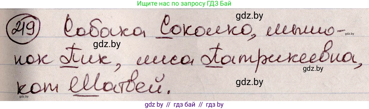 Русский язык, 6 класс Учебник, авторы: Мурина Лариса Александровна, Игнатович Татьяна Владимировна, Жадейко Жанна Фёдоровна, издательство Национальный институт образования, Минск, 2020, страница 105, номер 219, Решение 2