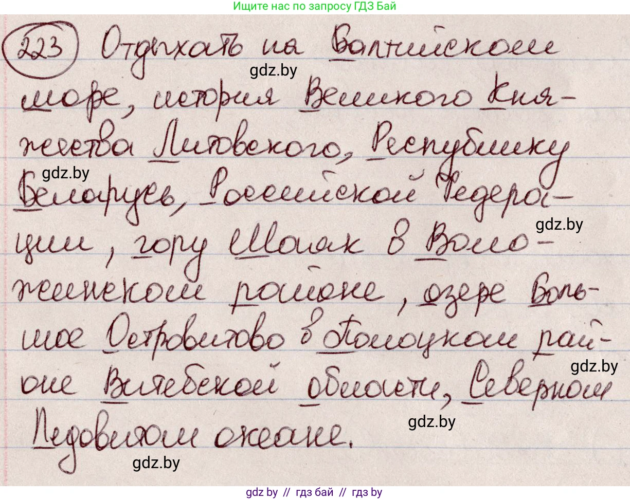 Русский язык, 6 класс Учебник, авторы: Мурина Лариса Александровна, Игнатович Татьяна Владимировна, Жадейко Жанна Фёдоровна, издательство Национальный институт образования, Минск, 2020, страница 108, номер 223, Решение 2