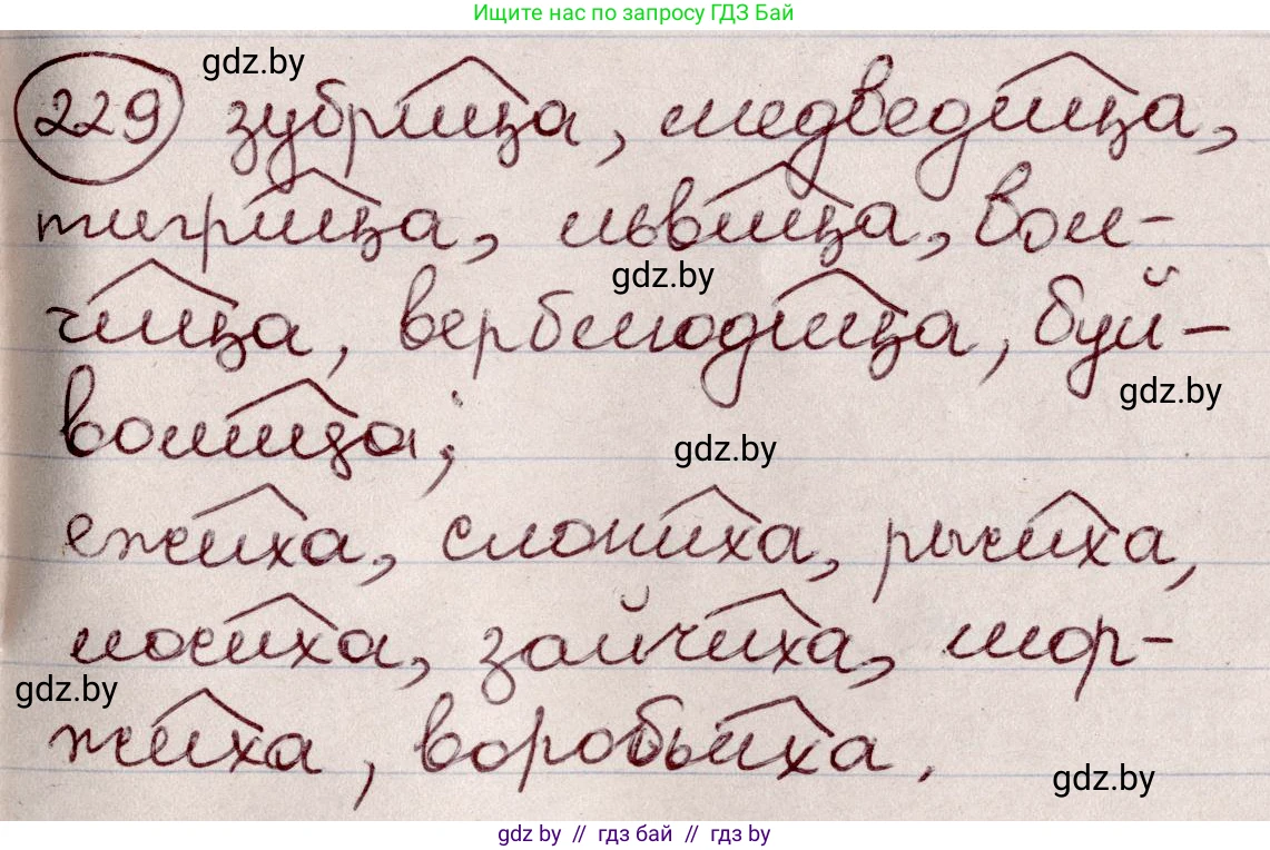 Русский язык, 6 класс Учебник, авторы: Мурина Лариса Александровна, Игнатович Татьяна Владимировна, Жадейко Жанна Фёдоровна, издательство Национальный институт образования, Минск, 2020, страница 110, номер 229, Решение 2