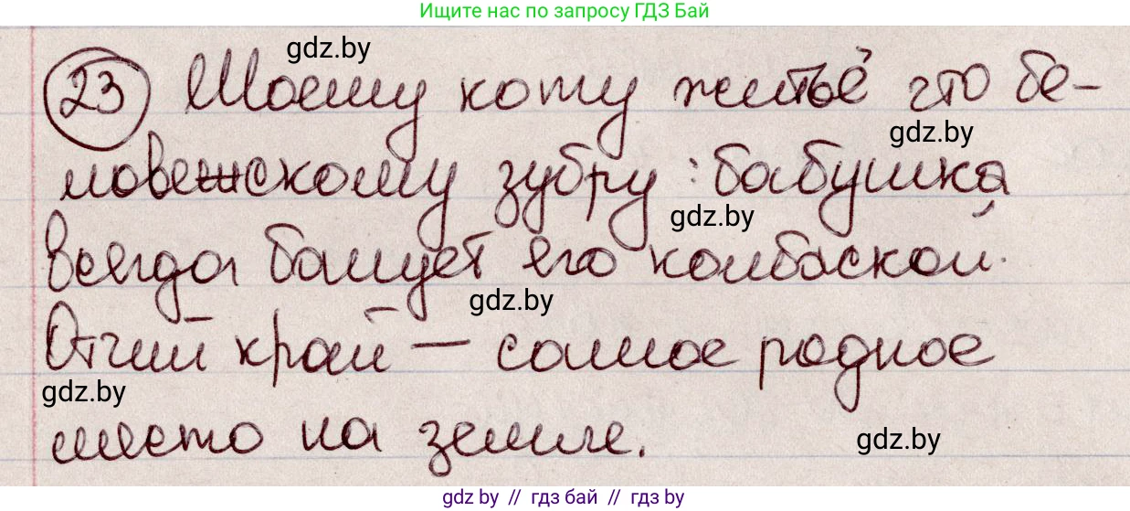 Русский язык, 6 класс Учебник, авторы: Мурина Лариса Александровна, Игнатович Татьяна Владимировна, Жадейко Жанна Фёдоровна, издательство Национальный институт образования, Минск, 2020, страница 17, номер 23, Решение 2
