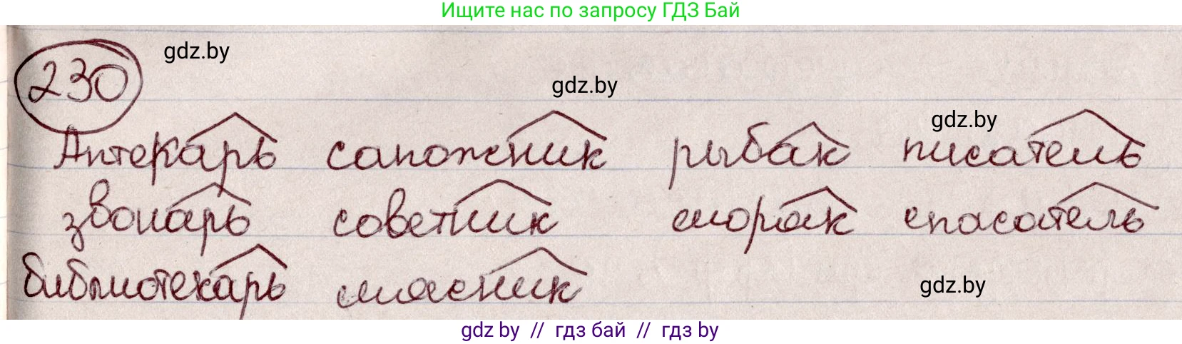 Русский язык, 6 класс Учебник, авторы: Мурина Лариса Александровна, Игнатович Татьяна Владимировна, Жадейко Жанна Фёдоровна, издательство Национальный институт образования, Минск, 2020, страница 110, номер 230, Решение 2