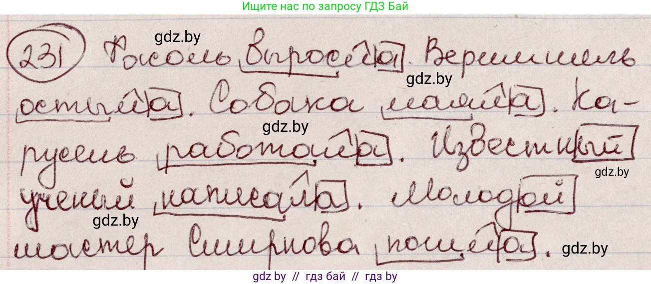 Русский язык, 6 класс Учебник, авторы: Мурина Лариса Александровна, Игнатович Татьяна Владимировна, Жадейко Жанна Фёдоровна, издательство Национальный институт образования, Минск, 2020, страница 110, номер 231, Решение 2