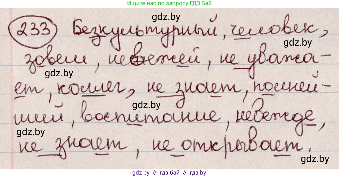 Русский язык, 6 класс Учебник, авторы: Мурина Лариса Александровна, Игнатович Татьяна Владимировна, Жадейко Жанна Фёдоровна, издательство Национальный институт образования, Минск, 2020, страница 111, номер 233, Решение 2