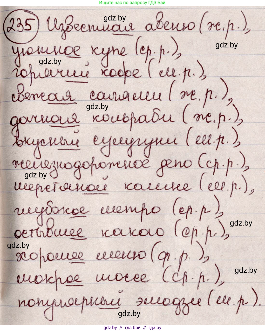 Русский язык, 6 класс Учебник, авторы: Мурина Лариса Александровна, Игнатович Татьяна Владимировна, Жадейко Жанна Фёдоровна, издательство Национальный институт образования, Минск, 2020, страница 113, номер 235, Решение 2