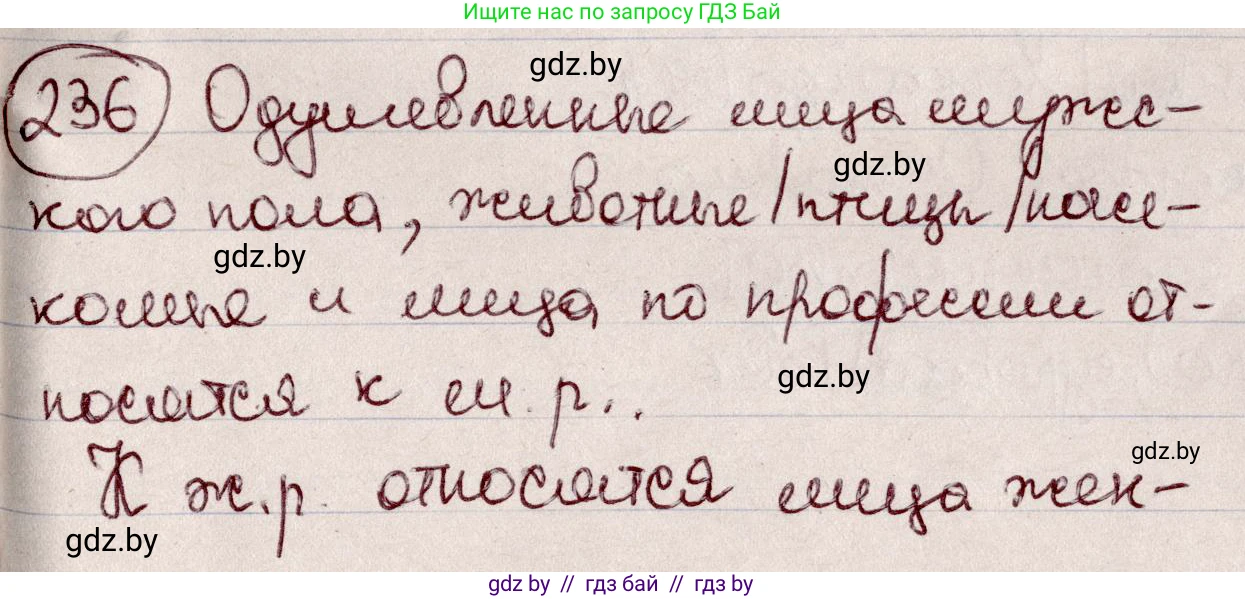 Русский язык, 6 класс Учебник, авторы: Мурина Лариса Александровна, Игнатович Татьяна Владимировна, Жадейко Жанна Фёдоровна, издательство Национальный институт образования, Минск, 2020, страница 113, номер 236, Решение 2