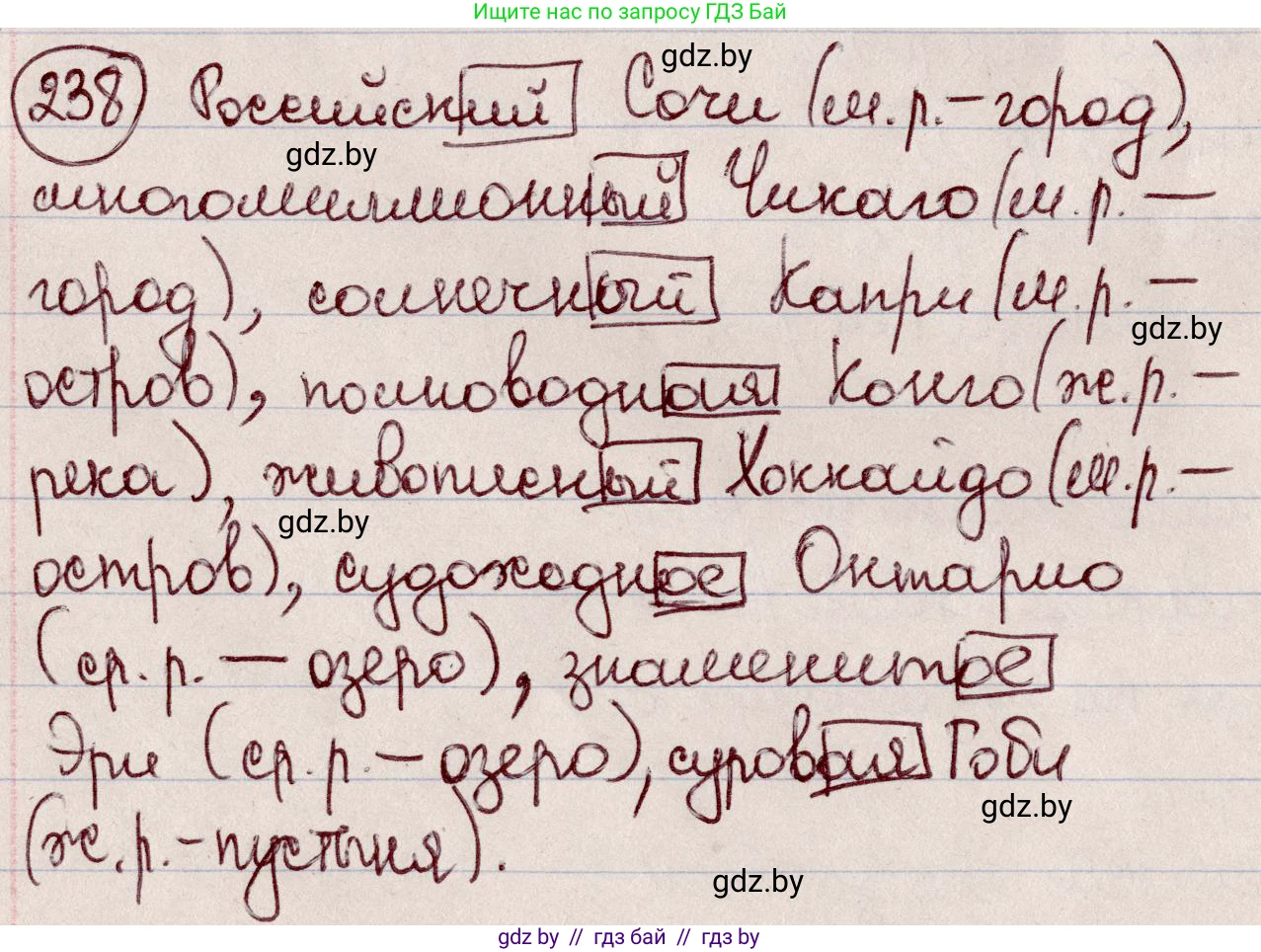 Русский язык, 6 класс Учебник, авторы: Мурина Лариса Александровна, Игнатович Татьяна Владимировна, Жадейко Жанна Фёдоровна, издательство Национальный институт образования, Минск, 2020, страница 114, номер 238, Решение 2