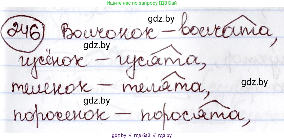 Русский язык, 6 класс Учебник, авторы: Мурина Лариса Александровна, Игнатович Татьяна Владимировна, Жадейко Жанна Фёдоровна, издательство Национальный институт образования, Минск, 2020, страница 117, номер 246, Решение 2